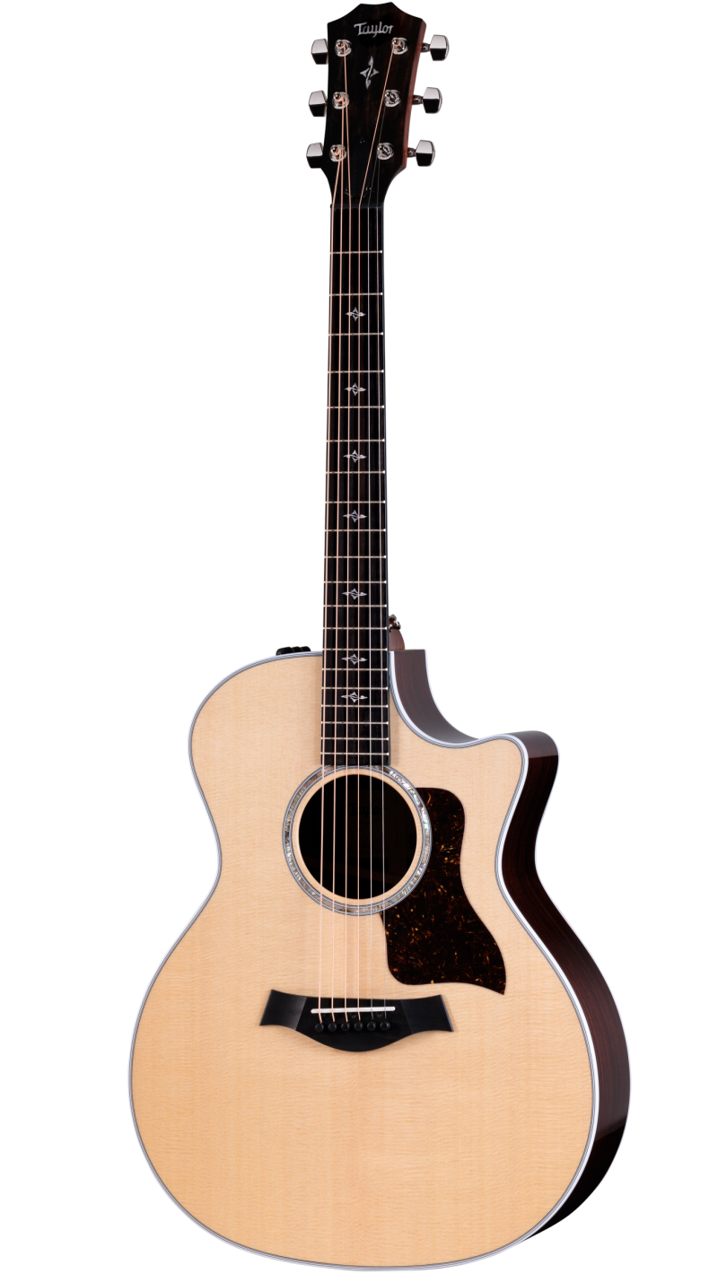 日本限定 414ce Indian Guitars Taylor | Guitar Acoustic-Electric Rosewood ギター
